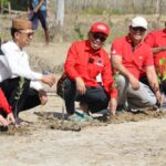 Penanaman Mangrove Bulan Bung Karno