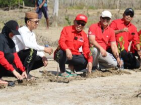 Penanaman Mangrove Bulan Bung Karno